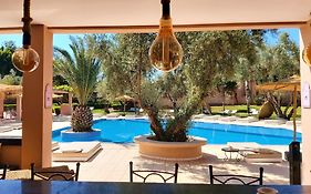 La Maison Des Oliviers